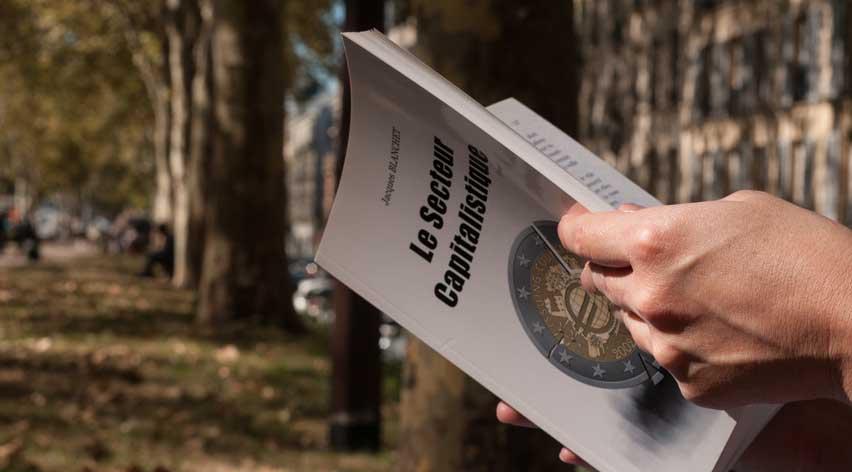 lecture du livre "Le secteur capitalistique"
